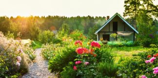 Лунный календарь — то что нужно садовникам и огородникам Лунный календарь - то что нужно садовникам и огородникам