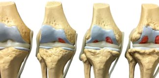 Интересные факты про медицинский цент Гармония Интересные факты про медицинский цент Гармония