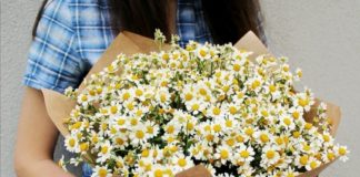 Заказать букет ромашек в Томске Заказать букет ромашек в Томске