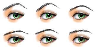 Форма бровей: виды, правила выбора и способы коррекции