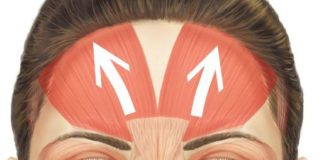 Кокетливо вскидывать бровь это как