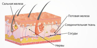 Прыщи между бровями — причина, как избавиться, убрать, красные, у подростка, лечение