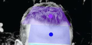 Основы физиогномики