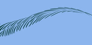 Как Делается Волосковый Татуаж Бровей (Европейская и Восточная Техника)