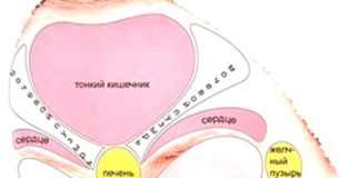Что говорят прыщи на лице: карта прыщей и болезней