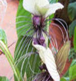 Как убрать морщину между бровей, Страница 3