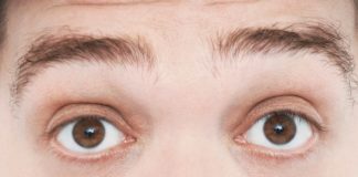 Эволюция — на бровях: как форма лба помогла выжить людям и погубила неандертальцев