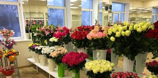 Surprise-Shop — Салон, где продают цветы… Surprise-Shop - Салон, где продают цветы...