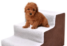 Покупка лестницы для собак