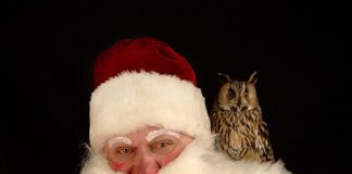 Чем можно развлечься в казино