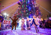 Организация детских праздников