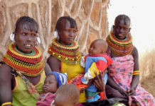 Что можно увидеть в Танзании?