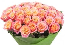 Заказ цветов с доставкой: преимущества услуги