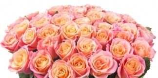 Заказ цветов с доставкой: преимущества услуги