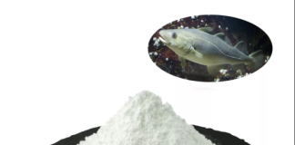 Рыбный (морской) коллаген