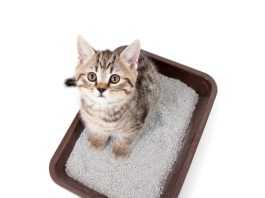 Серия наполнителей для кошачьего туалета, не оставляющих следов