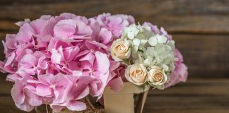 Как можно заказать букет гортензий в enjoyflowers.ru: подробности