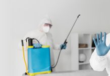 Уничтожение клопов: как понять, у кого его заказать, и почему оно необходимо