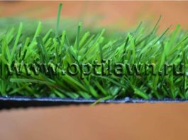 Где купить футбольный газон: советы