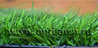 Где купить футбольный газон: советы