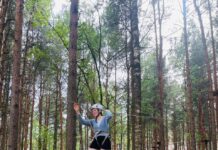 Тимбилдинг в веревочном парке: как укрепить командный дух через приключения