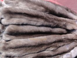 Шкура соболя: история, свойства и уход