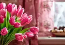 Цветы с доставкой в Москве: как выбрать лучшее предложение