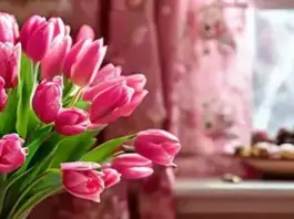 Цветы с доставкой в Москве: как выбрать лучшее предложение