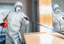 Дезинсекция клопов в квартире: когда нужна срочная обработка