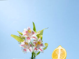 Аптечная косметика: надежный уход за кожей с доказанной эффективностью