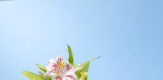 Аптечная косметика: надежный уход за кожей с доказанной эффективностью